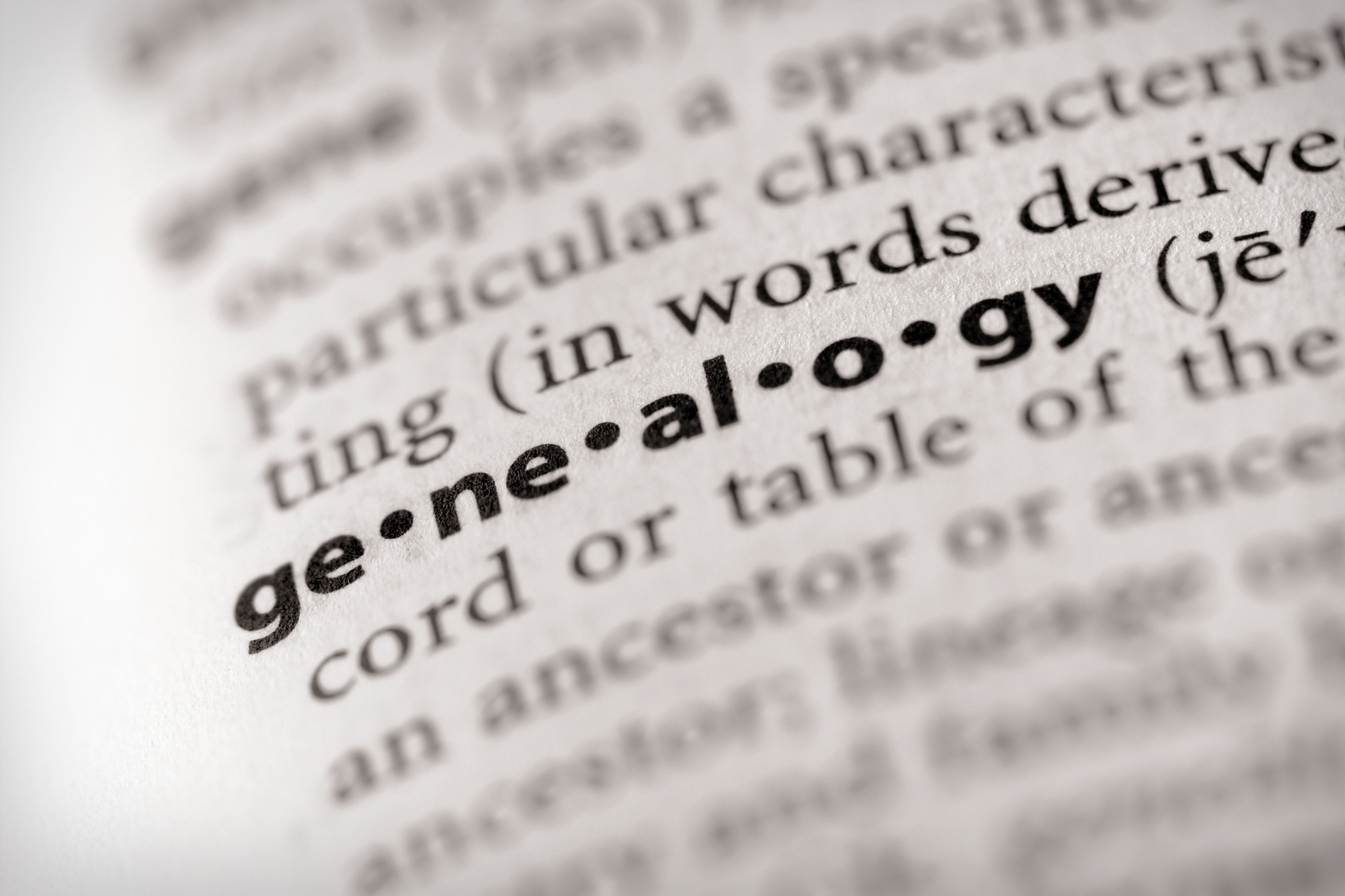 Decorative - Dictionary Definition of &#039;Genealogy&#039;
