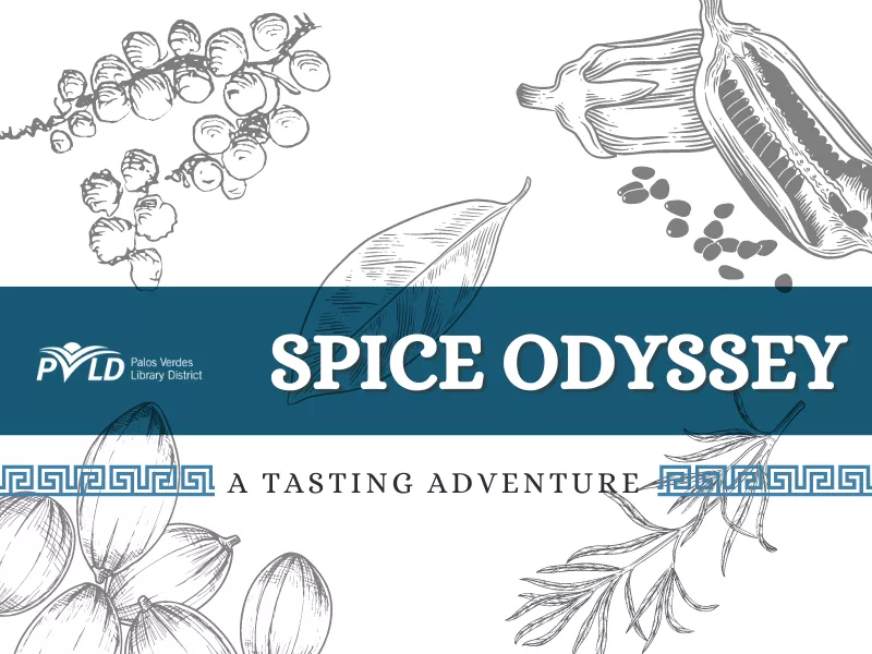 Spice Odyssey callout