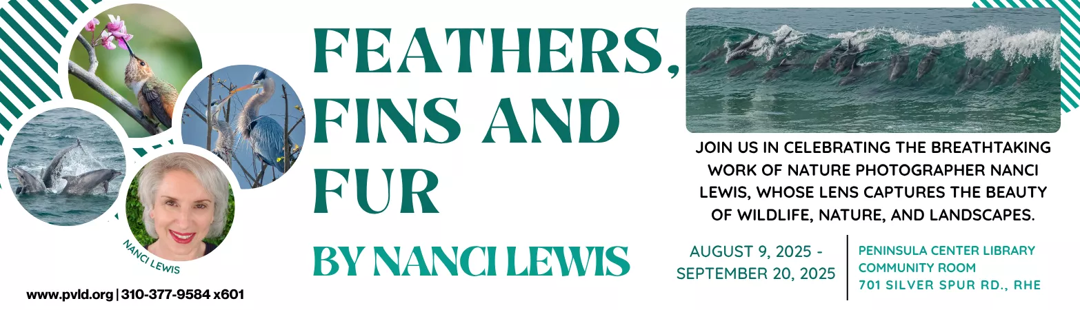 Feathers, Fins and Fur by Nanci Lewis August 9, 2025 - September 20, 2025 Saturday, August 09 All day Peninsula Center Library Foyer Exhibit Area